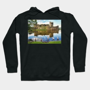 The Castle Geese Hoodie